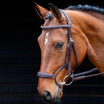 Brown SALISBURY Brampton Bridle Australian Nut