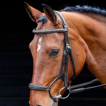 Black SALISBURY Brampton Bridle Black