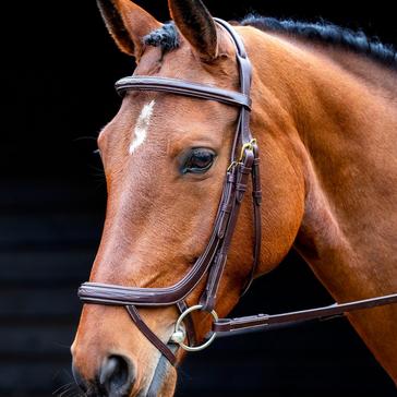 Brown SALISBURY Buckingham Bridle Australian Nut