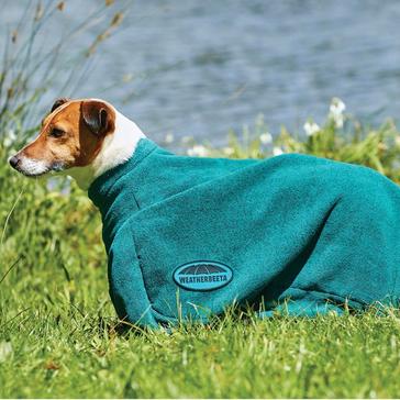 Green WeatherBeeta Dry Dog Bag Hunter Green