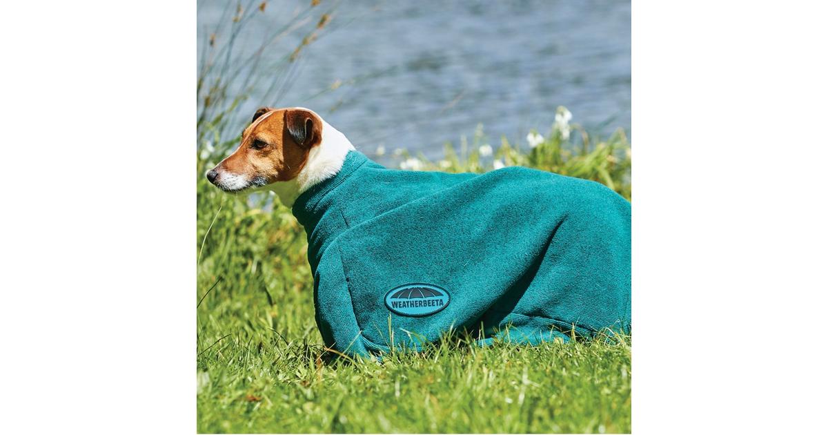 WeatherBeeta Dry Dog Bag Hunter Green Naylors