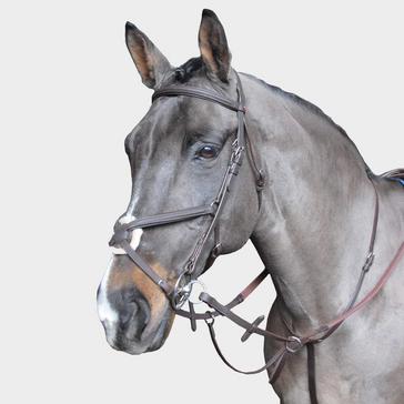  Whitaker Ready To Ride Running Martingale Havana