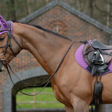 Purple WeatherBeeta Prime Jump Saddle Pad Violet