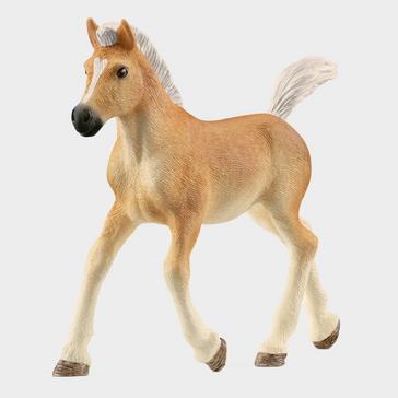 MULTI Schleich Haflinger Foal