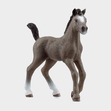 Multi Schleich Selle Français Foal