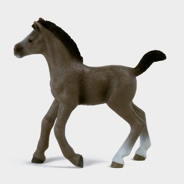 Multi Schleich Selle Français Foal