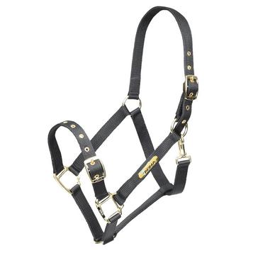 Black Arma Adjustable Headcollar Black