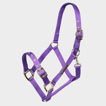 Purple Arma Adjustable Headcollar Purple