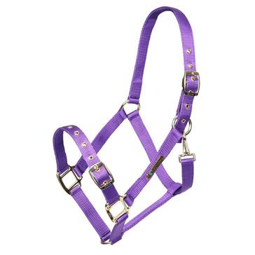 Purple Arma Adjustable Headcollar Purple