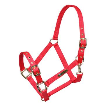 Red Arma Adjustable Headcollar Red