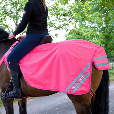 Pink EQUI-FLECTOR Waterproof Exercise Sheet Pink