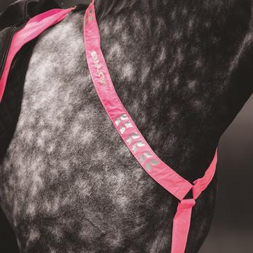 Pink EQUI-FLECTOR Breastplate Pink