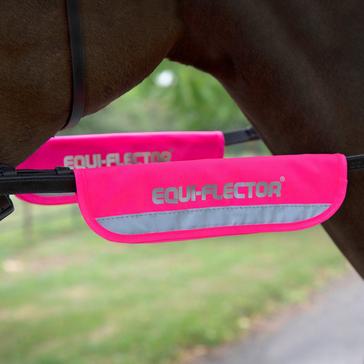 Pink EQUI-FLECTOR Bridle Bands Pink