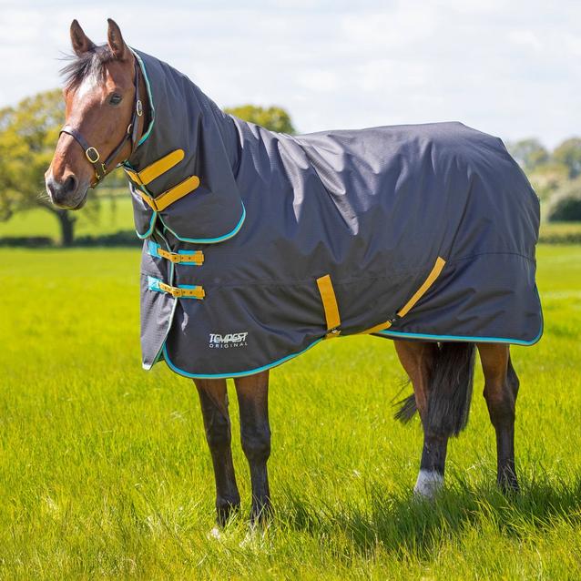 Shires Tempest Original 300g Heavyweight Combo Neck Turnout Rug Black