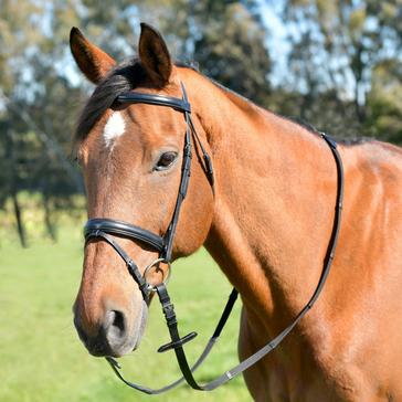 Black Kincade Classic Plain Raised Flash Bridle With Reins Black