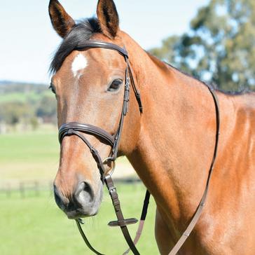 Brown Kincade Classic Plain Raised Flash Bridle With Reins Brown