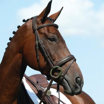 Black Collegiate Syntovia+ Padded Raised Flash Bridle Black