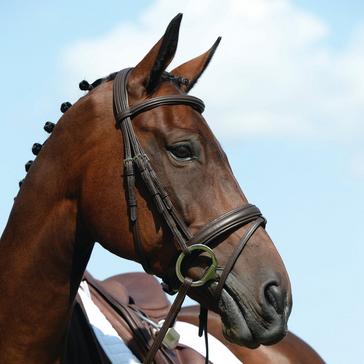 Black Collegiate Syntovia+ Padded Raised Flash Bridle Black