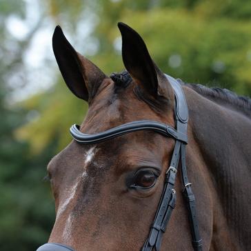 Black Collegiate ComFiTec Vogue Anatomical Bridle Black