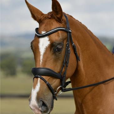 Black Collegiate ComFiTec Opulux Padded Dressage Bridle Black