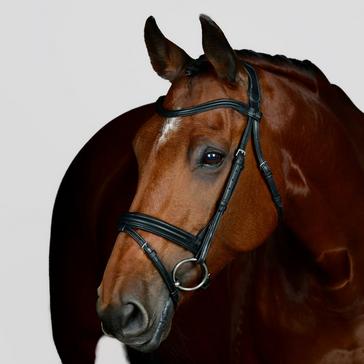 Black Collegiate ComFiTec Opulux Plain Padded Hanoverian Flash Bridle Black