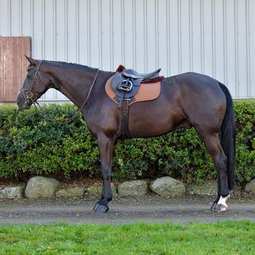 Brown WeatherBeeta Prime Comfy Fleece Jump Saddle Pad Brown