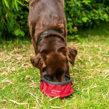 Red Mountain Paws Dog Water Bowl Red