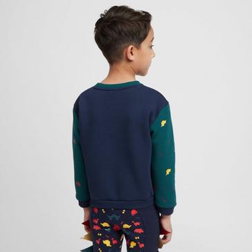 Multi TIKABOO Kids Sweatshirt Dinosaur