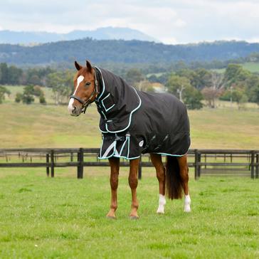 Grey WeatherBeeta ComFiTec Ultra Comfi Detach-A-Neck 220g Mediumweight Turnout Rug Charcoal/Teal Blue/White