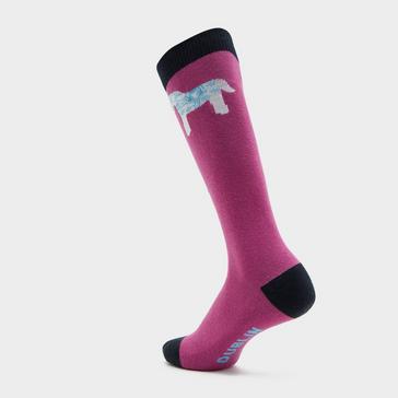 Pink Dublin Kids Single Pack Socks White Pony