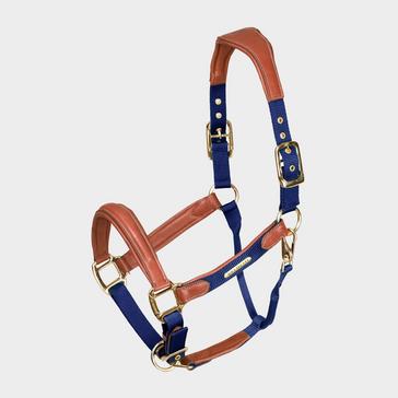 Blue Velociti Lusso Padded Leather Headcollar Navy