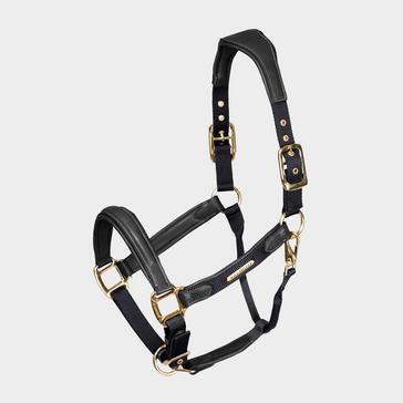 Black Velociti Lusso Padded Leather Headcollar Black