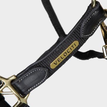 Black Velociti Lusso Padded Leather Headcollar Black