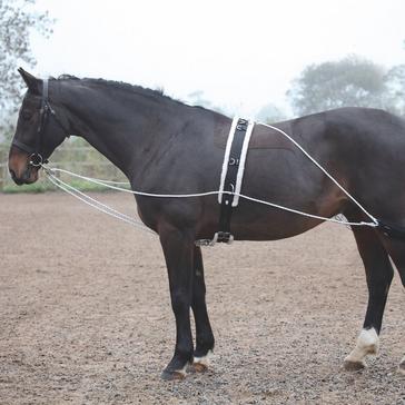 Black Shires Lunging Aid Black