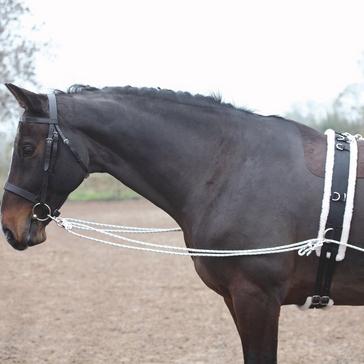 Black Shires Lunging Aid Black