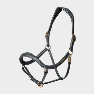 Black Velociti Rapida Curved Leather Headcollar Black