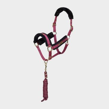 Red Arma Logo Headcollar & Lead Rope Burgundy