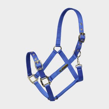 Blue Arma Adjustable Headcollar Blue