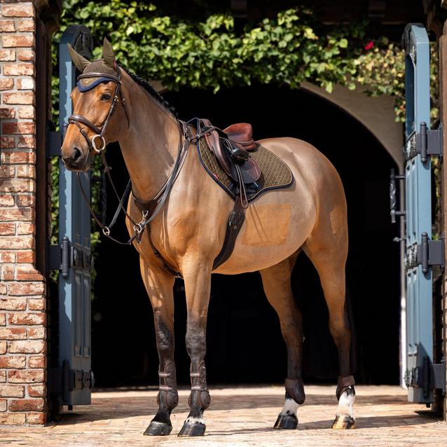LeMieux Suede Close Contact Saddle Pad Alpine | Naylors