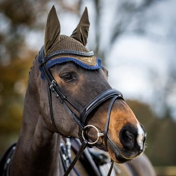 Green LeMieux Classic Fly Hood Alpine