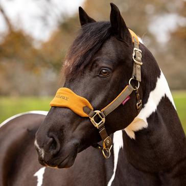 Green LeMieux Vogue Headcollar & Leadrope Alpine