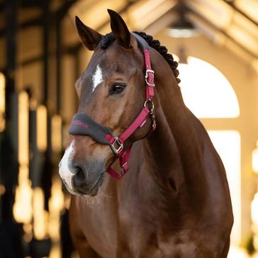 Red LeMieux Vogue Headcollar & Leadrope Ember