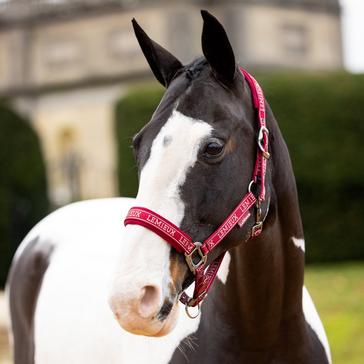 Red LeMieux Logo Headcollar Ember