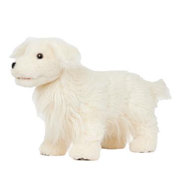 White LeMieux Toy Puppy Golden Retriever Luna