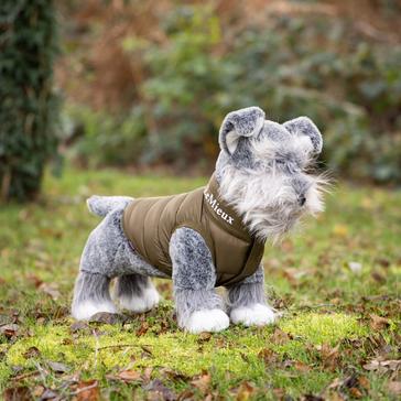 Grey LeMieux Toy Puppy Schnauzer Cooper