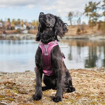 Purple Non-Stop Dogwear Ramble Harness Purple