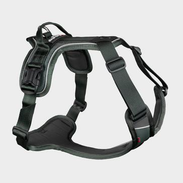 Green Non-Stop Dogwear Ramble Harness Green