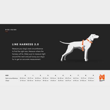 Orange Non-Stop Dogwear Line Harness 5.0 Orange