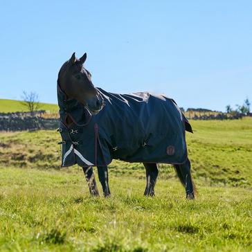 Black Royal Scot Original 100g Light-Medium Weight Combo Neck Turnout Rug Black/Wine