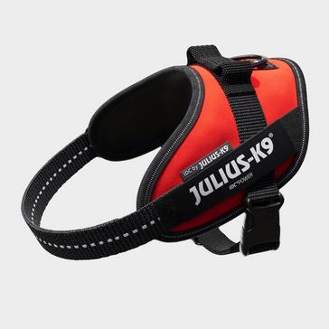 Red Julius K9 IDC Powerharness Red Mini